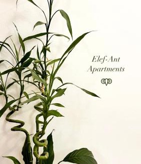 Heraklion Apartment | Elef-ant apartment