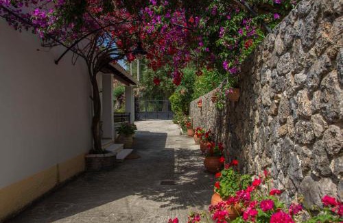Lakones Villa | Emmy Villa Paleokastritsa
