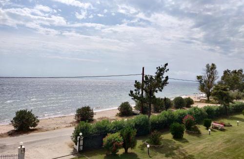 Ormilia Apartment | Entire Appartment 50m from sea - Spiros