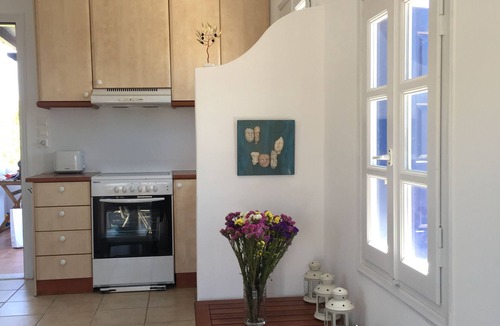 Naxos House | Family house with 2 b/r , private garden, next to beach