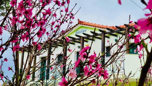 Leivathos Apartment | Galini Apartments