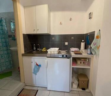 Paralia Agias Fotinis Apartment | Gardens