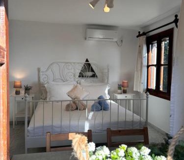 Agios Romanos House | Grandpa Simos' Traditional Guest House (B)