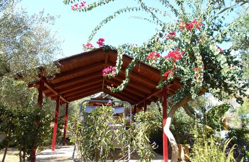 Ano Vasilikos Apartment | Holiday apartment Zakynthos for 1 - 4 persons with 2 bedrooms - Holiday apartment in one or multi-fa