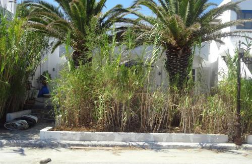 Ormos Korthiou Villa | In front of the Beach.