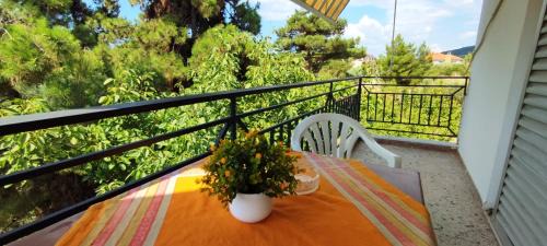 Psakoudia House | Little Hause
