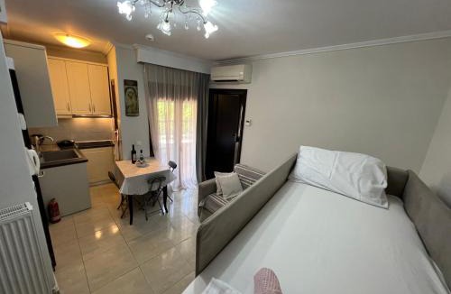 Nea Skioni House | Metaxenia's apartment 102