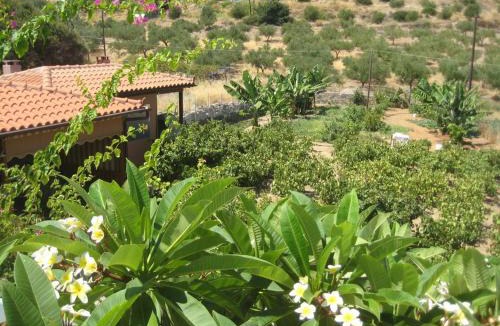 Mochlos Apartment | Mochlos Mare
