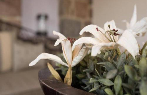 Mithimna Apartment | Moongarden