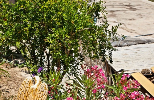 Makry Gialos Cottage | "Mpakses" 300 years old cottage "Natura cottages" with sea view shared garden