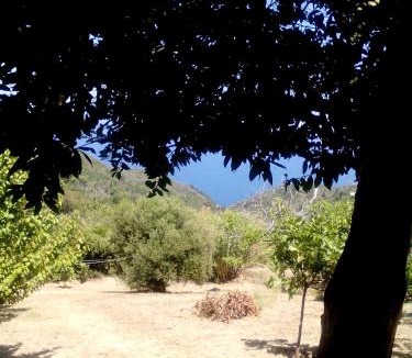 Lambinou House | Nightingale Cottage Pelion