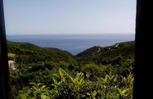 Lambinou House | Nightingale Cottage Pelion