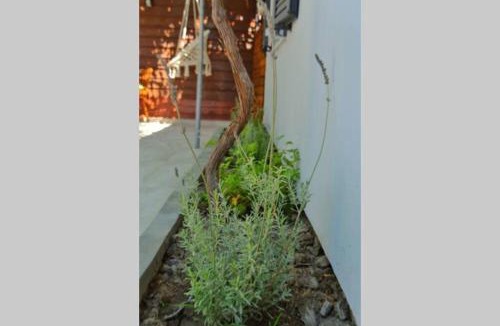 Lixouri House | Onore