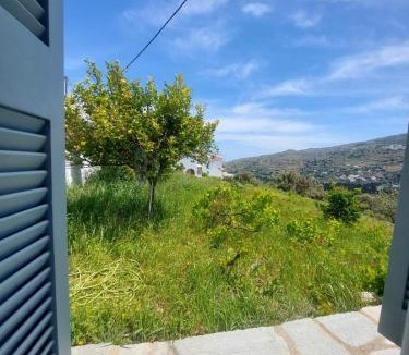 Andros Town Apartment | Palaiokrassa sunny appartment