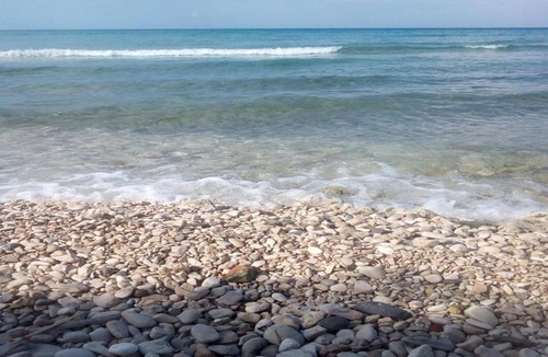 Drosia House | Pelagion Sea Coral - Beachfront holiday home