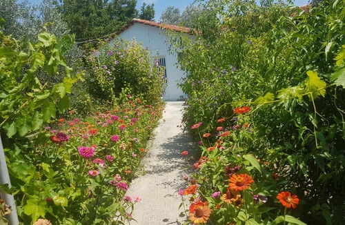 Kolymbia Apartment | Pension Zoi