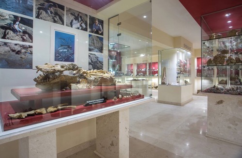Ialyssos Hotel | Perla Marina