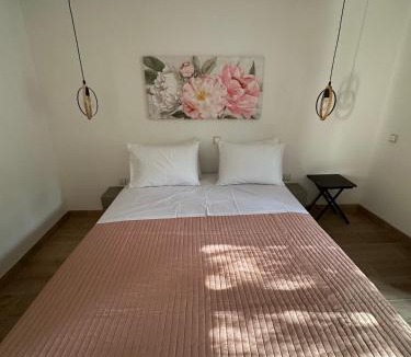 idhra Apartment | Polina's Apartments