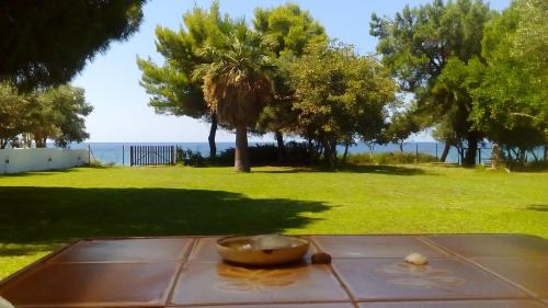 Nea Skioni Villa | Seafront Villa Joan