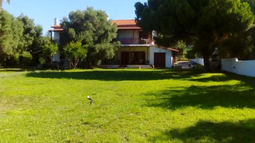 Nea Skioni Villa | Seafront Villa Joan
