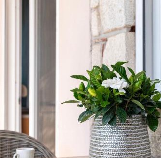 Nea Fokaia Apartment | Silot apartment 3