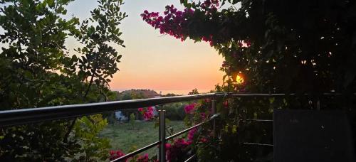 Toroni House | Sofia' s Beach House