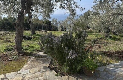 Afissos Cottage | Stone house in an olive grove right by the sea