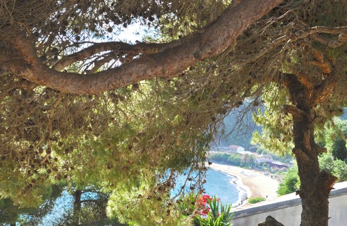 Parelia Apartment | Studio Apartments With Large Swimming Pool and Sea View at Pelekas Beach Corfu