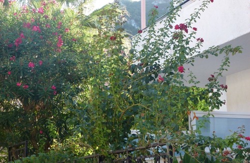 Benitses Apartment | Studio "Galini Studios 2" Near the Beach with Wi-Fi, A/C & Balcony