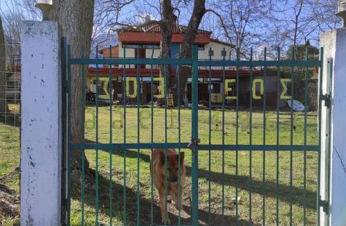 Limin Litochorou Hostel | Summit Zero Hostel