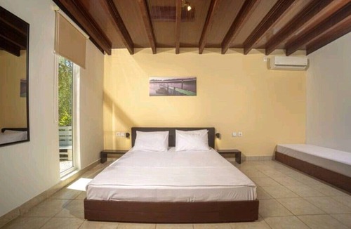 Zakynthos Other | Terra Vine Collection - Raisin House