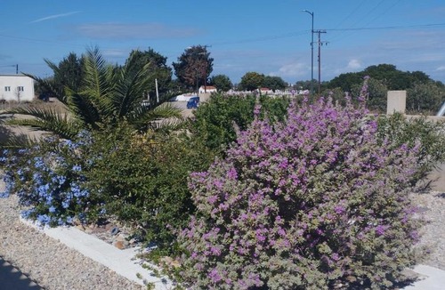 Antimachia Apartment | The Garden House
