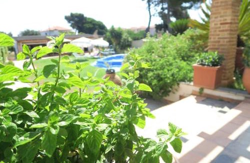 Mytikas Apartment | The Orange Grove Garden Room