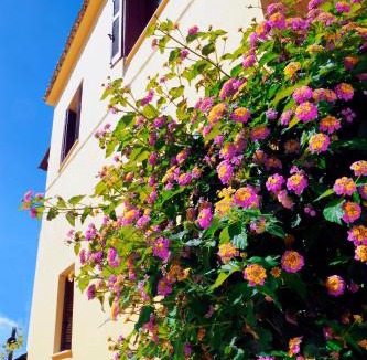 Antipernoi House | Traditional Greek Maisonette in Antiperni Village