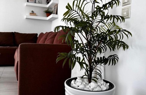 Afytos House | Villa Evita - Sea View Apartment by Kostas