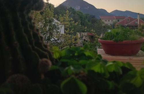 Dafnata House | Village House