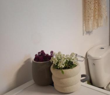 Dafnata House | Village House