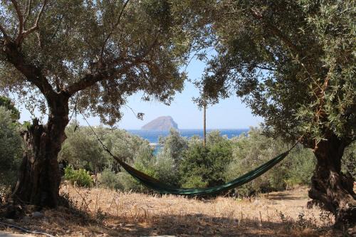 Μικρό Ανάδιο in Kapsali
