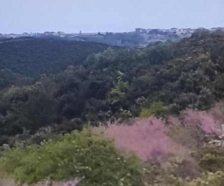 ΠΑΝΟΡΑΜΑ in Aigáni