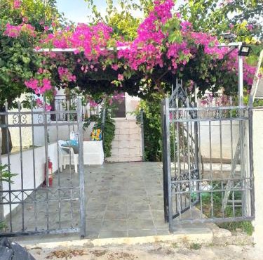 σπίτι - αγρόκτημα - Δ Γεωργά Χατζηράση οδός Χατζηράση in Porto Heli