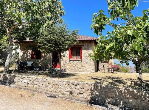 ΦΙΛΥΡΑ ΠΕΤΡΙΝΟ in Kernitsa