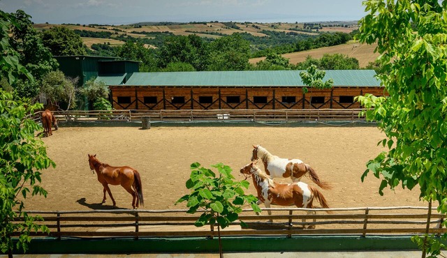 3 Hills Boutique Hotel in Katerini