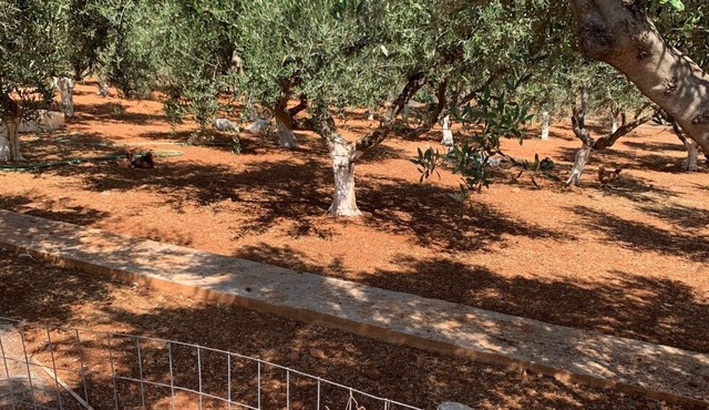 Amazing Mountain View, Comfy Warm Landscaping, Relaxed Atmosphere& Great Hosts in Lakonias