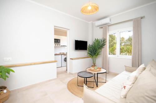 Anasma Boutique Apartments in Kontokali