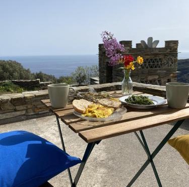 Andros Vineyard house with sea view in Andros