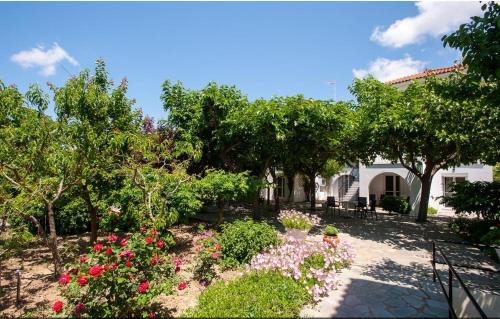 Anesis Studios & Apartments Plati Beach, Lemnos in Platy