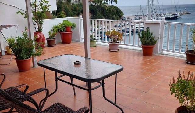 Apartment 'Unit 1' with Sea View, Wi-Fi, and Air Conditioning in Αλόννησος
