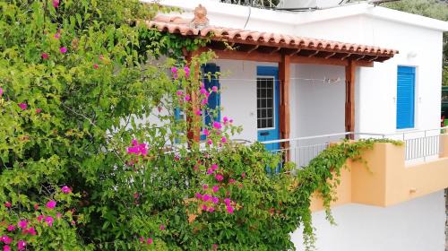 Apartments Jota in Marathokampos