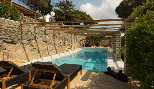Baroness in Mykonos with 5 bedrooms and 4.5 bathrooms in Mykonos