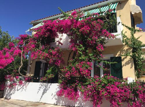 Casa Buganvilla in Minia